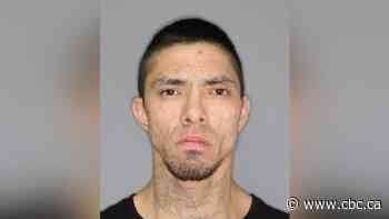 Saskatoon police charge man with city's 12th homicide of 2020 - CBC.ca