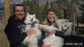 Caps on international flights leave hundreds of Australians stranded in Canada