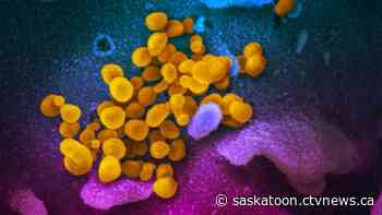 North Sask. health declares COVID-19 outbreak in Stanley Mission