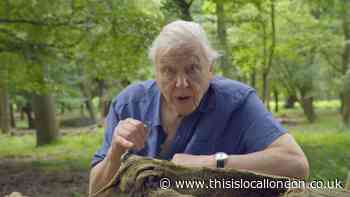 Richmond Park praised by environmentalist David Attenborough
