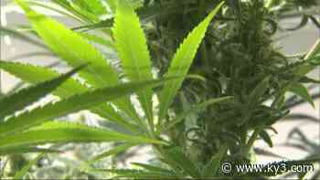 A closer look at the medical marijuana manufacturer in Carrollton, Mo. - KYTV