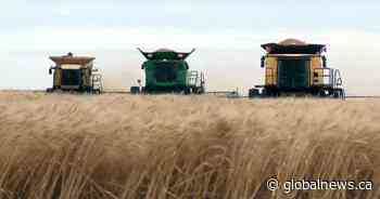 Proceeds of Leduc County harvest donated in effort to end world hunger