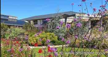 How you can help secure the future of Bristol's only adult hospice