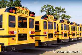 11-year-old steals, crashes school bus, police say