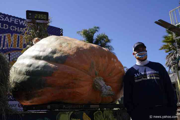 Pumpkin weighing 2,350 pounds wins California contest