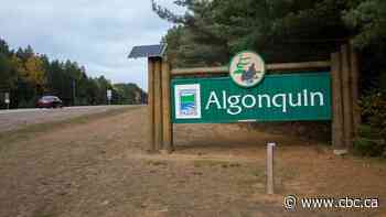 Toronto man dead, 2 other males rescued after canoe capsizes in Algonquin Park - CBC.ca