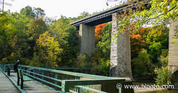 This lookout bridge and trail in Toronto has unique views over the Humber River - blogTO