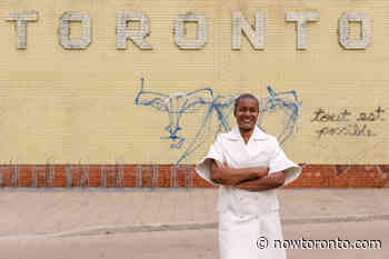 Green Party leader Annamie Paul calls for suspension of Toronto by-elections - NOW Toronto