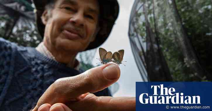 How maverick rewilders are trying to turn back the tide of extinction