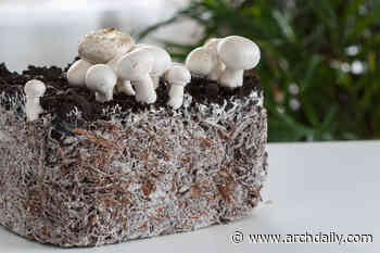 Mushroom Buildings? The Possibilities of Using Mycelium in Architecture - ArchDaily