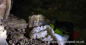 Dog sniffs out wanted man 'hiding in a cave' at Bristol beauty spot