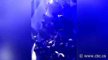 'A tremendous slap in the face': video of packed nightclub spurs anger in Saskatoon