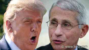 Donald Trump Says Fauci's Pitching Arm's Better Than His COVID Response