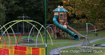 Gang of youths hurl rocks at officers as they attended a fire in a park