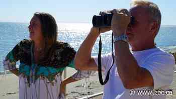 2 more people claim they may have seen a drowned sailor's last calls for help