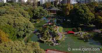 Con cupos y protocolos sanitarios, reabrió el Jardín Japonés de Buenos Aires - Clarín