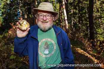 Whistler's Fungus Among Us Festival goes digital - Pique Newsmagazine