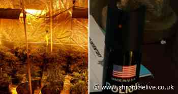 Two suspected cannabis farms and 'pepper spray canister' found in Gateshead