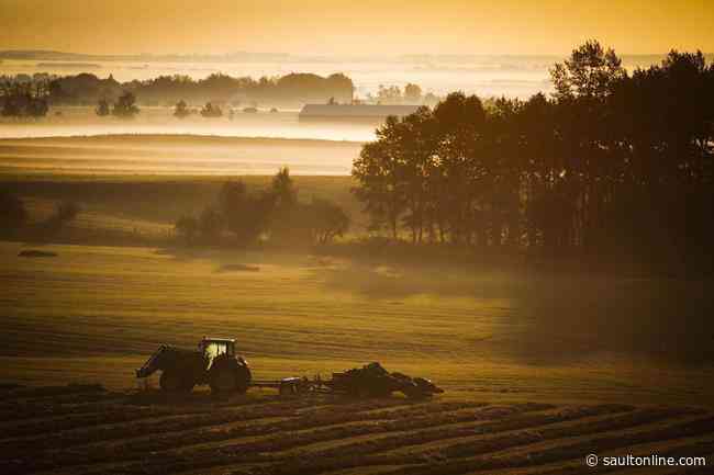 Ontario’s agri-food businesses to get funding to help prevent spread of COVID