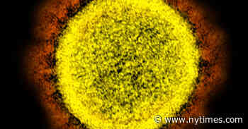 Another ‘Unfounded’ Study on Origins of Virus Spreads Online