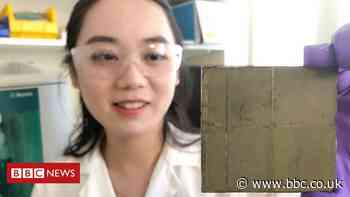 Creating fuel from thin air with artificial leaves