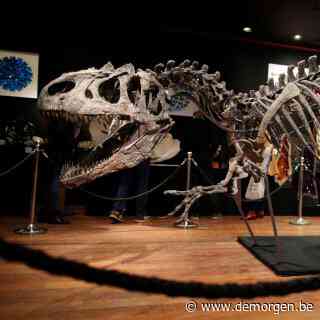Skelet van ‘opa van T-rex’ verkocht voor meer dan 3 miljoen euro
