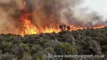 500 volunteers fighting fire on Africa’s tallest mountain