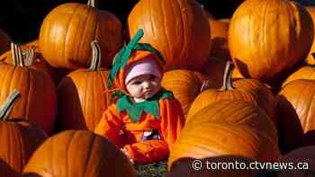 Specific Halloween advice coming for Toronto, Peel and Ottawa as mayors call for 'one clear message'