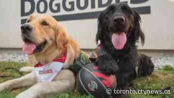 'It's going to be a life-changing experience': LFC Dog Guides hold their first graduation ceremony since the pandemic began