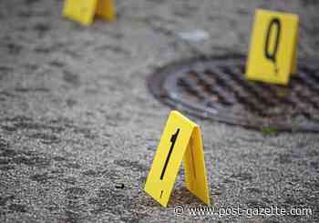 15-year-old charged as adult in Ambridge shooting