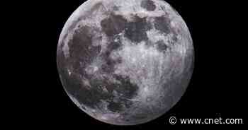 NASA and eight nations sign the Artemis Accords for moon exploration     - CNET