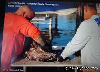He posted fish photos from his Keys vacation. Then he went to jail