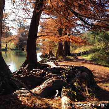 5 spots to see the most beautiful fall foliage in Texas