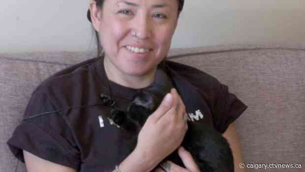 Fortunate feline rescued from Alberta apartment fire; cat owner grateful to 'hero' firefighters