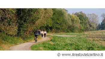 Un milione per la ciclabile via Modena-centro - il Resto del Carlino