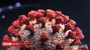 Covid reinfection: Man gets Covid twice and second hit 'more severe'