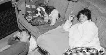 The Way We Watch Now