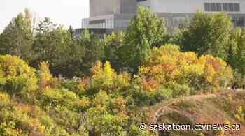 We've fallen into fall: This is your Saskatoon forecast - CTV News Saskatoon