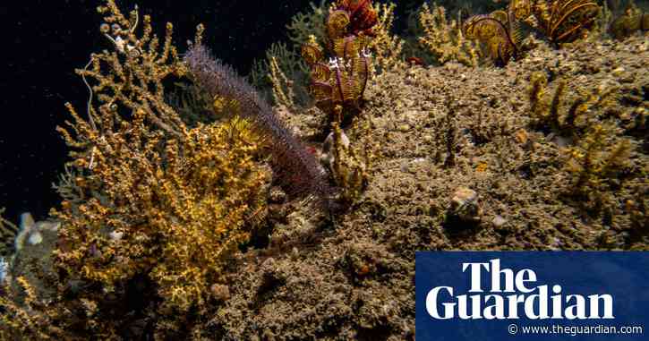 Temperatures of deepest ocean rising quicker than previously thought