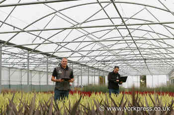 Johnsons of Whixley launches first paperless catalogues