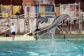 Hoofd technische dienst (26) van Boudewijn Seapark komt om bij arbeidsongeval, oorzaak wellicht elektrocutie