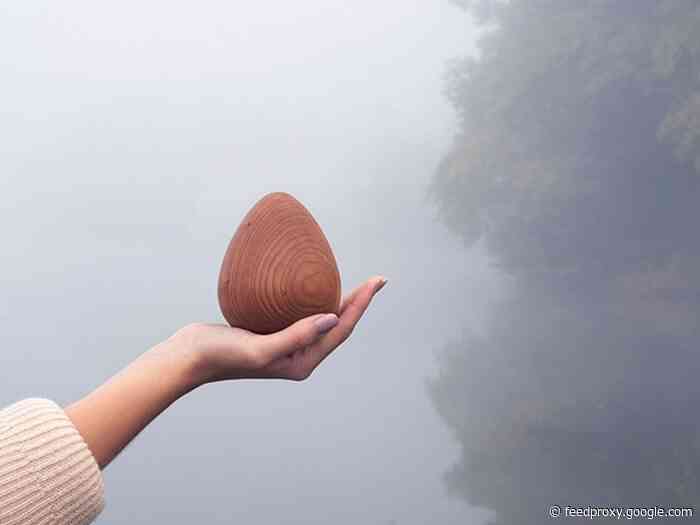 Zen Egg mindfulness, meditation tool hits Kickstarter