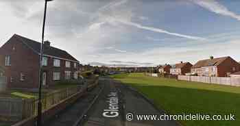 Pensioner targeted by jewellery thief posing as council worker