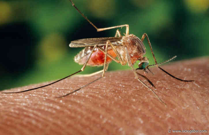 Frumpy Middle-aged Mom: Bugs just don’t bug me, but sometimes you do