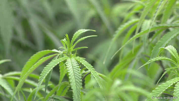 New Mexico judge issues ruling in marijuana reciprocity case