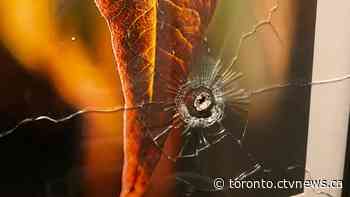 Toronto councillor calls on Airbnb to de-list so-called ‘ghost hotels’ after shooting