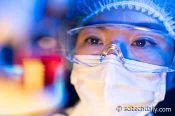 Immune System’s Response to COVID-19 Was Just Revealed by Scientists Who Discovered SARS