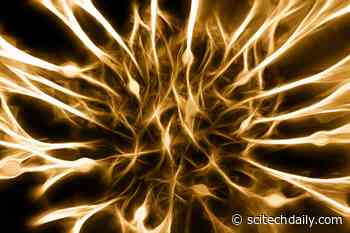 Scientists Find Neurochemicals – Dopamine and Serotonin – Have Unexpectedly Profound Roles in the Human Brain