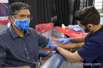 SARS-CoV-2 Antibodies Provide Lasting COVID-19 Immunity