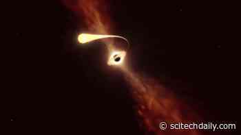 Front-Row Seats to Star’s Death by Spaghettification